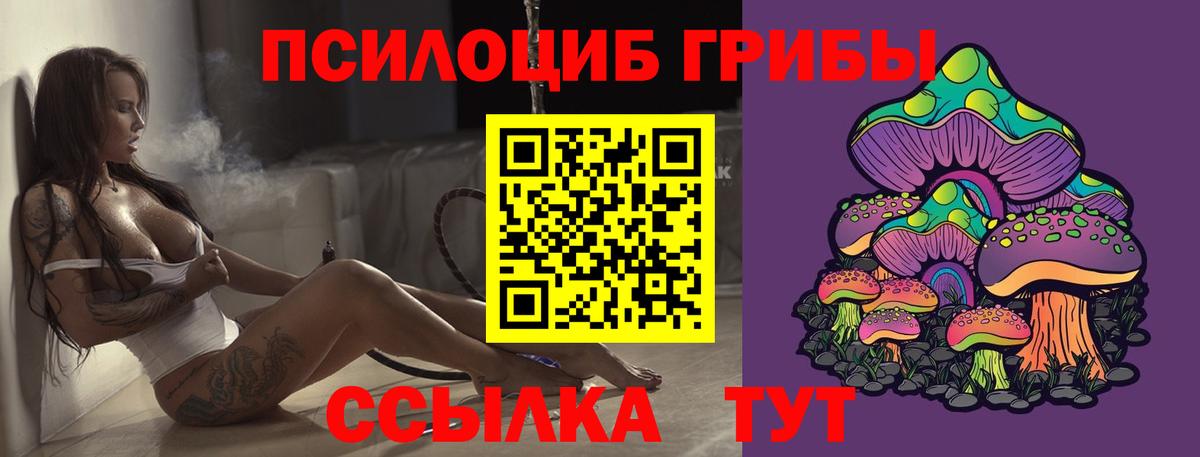 Галлюциногенные грибы Cubensis Полысаево