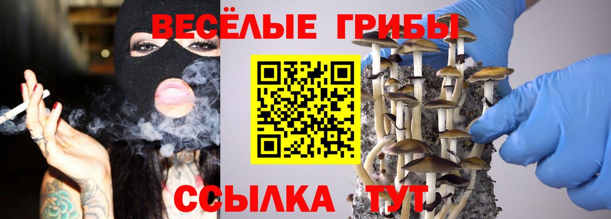 Псилоцибиновые грибы Psilocybe  Вход с VPN  Полысаево 