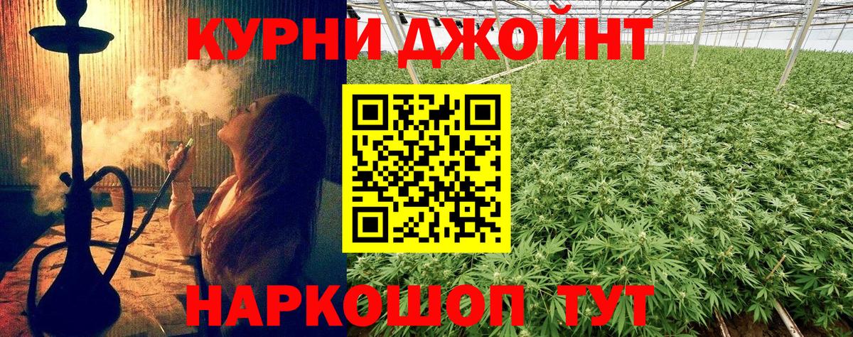 Конопля марихуана Полысаево